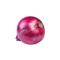 Onion